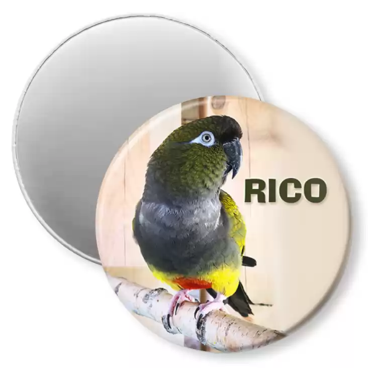przypinka magnes Rico